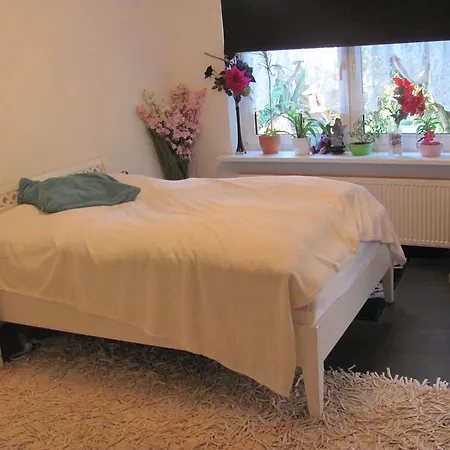 Accommodatie bij particulieren Profair - Agency *